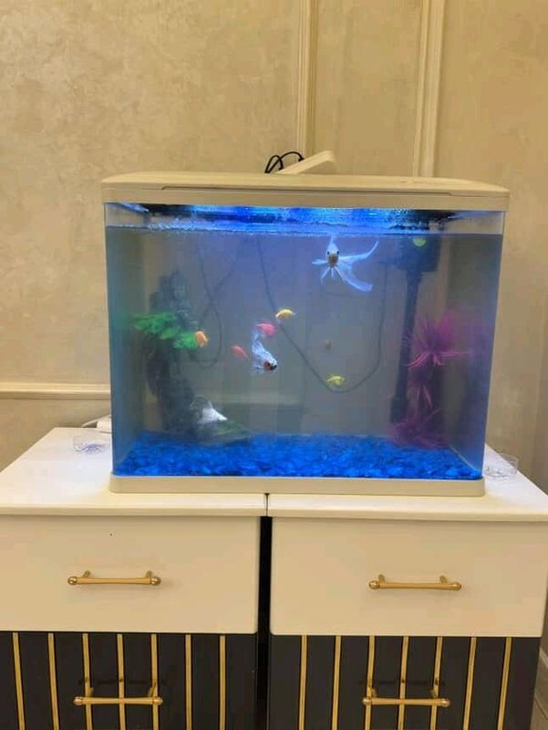 80L 80L