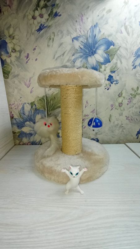Когтеточка для маленьких котят. Когтеточка для маленьких котят.