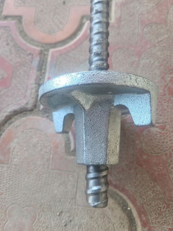 Tayrot gaykalar. Tayrot gaykalar.