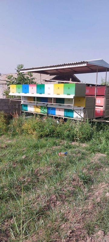 Вагон 46 oila ариси билан срочно сотилади Вагон 46 oila ариси билан срочно сотилади