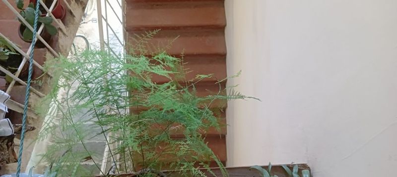 Dom 2 xonali hamma narsa mavjud Dom 2 xonali hamma narsa mavjud