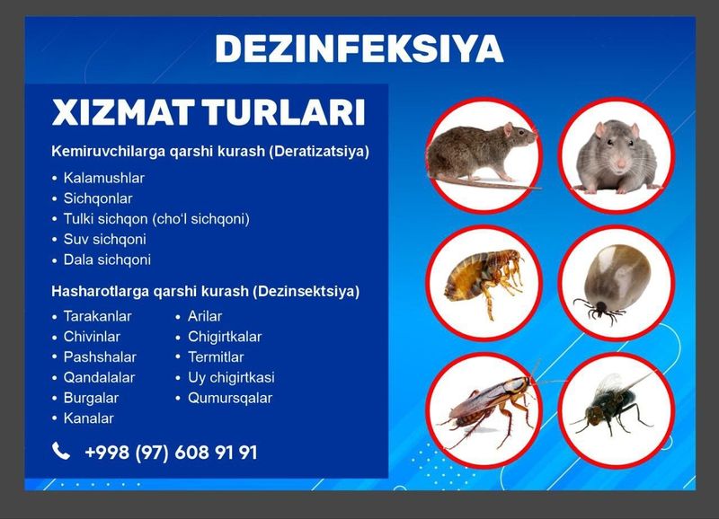 Dizinfeksiya xizmati Dizinfeksiya xizmati