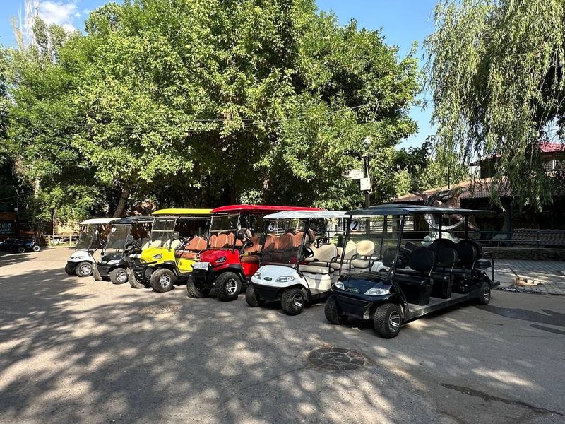 Buggy,golf car,electro car