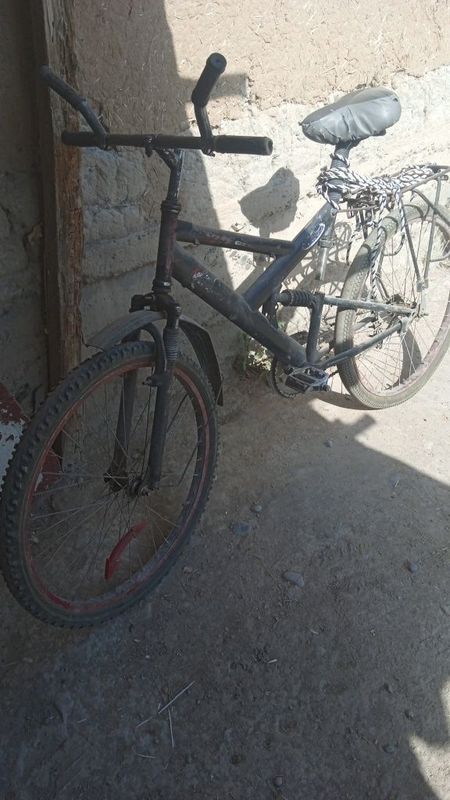 Velik arzon sport Velik arzon sport