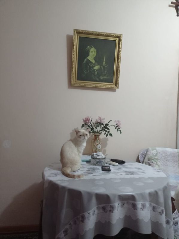 Вязка Кот Экзот приглашает невесту! Вязка Кот Экзот приглашает невесту!