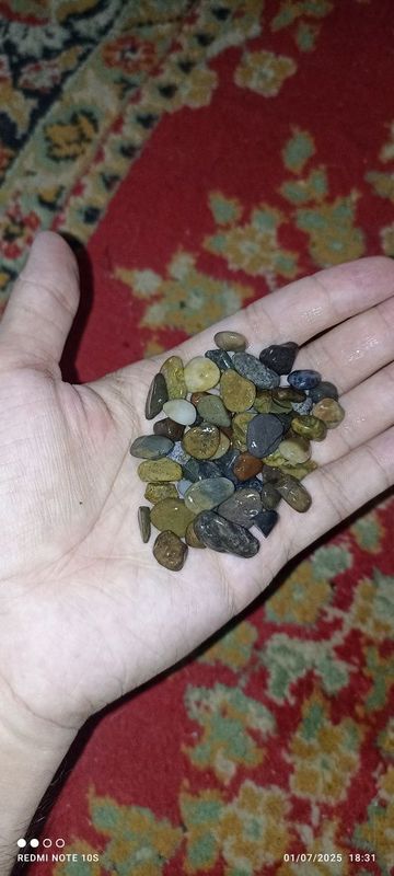 Akvarium toshlari sotiladi yuvilgan toza 2kg 25 ming kami bor