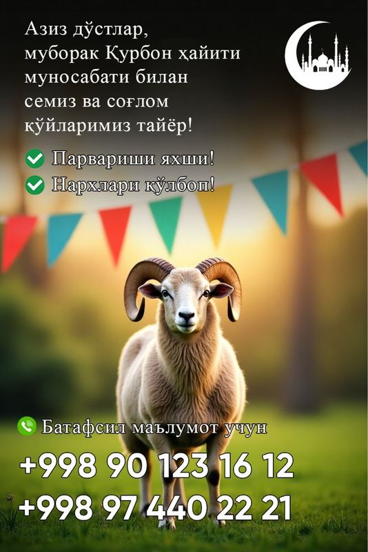 Курбон хайитга куйлар Курбон хайитга куйлар