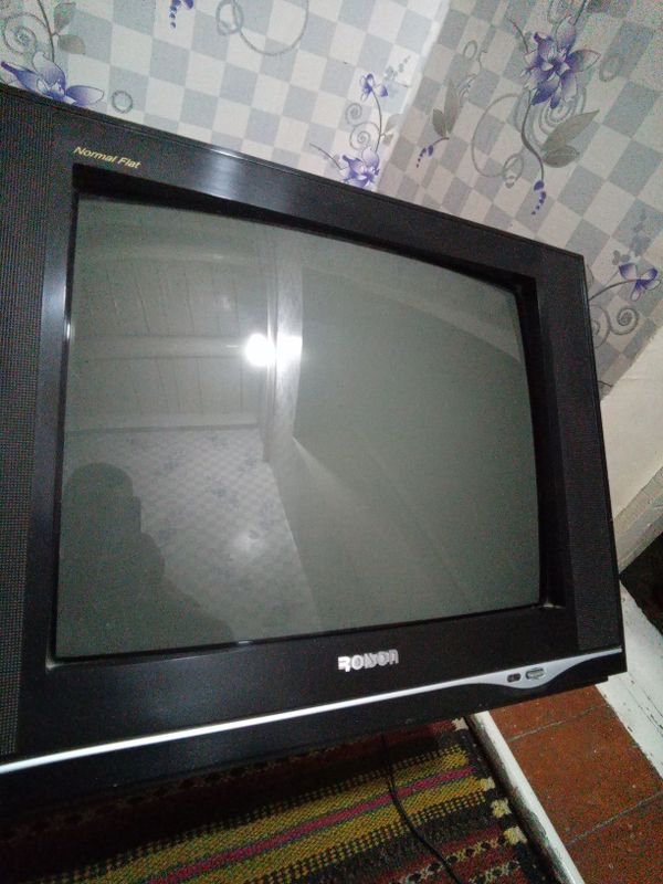 Roison tuneri bilan holati zur Roison tuneri bilan holati zur