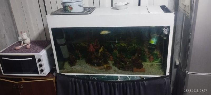 Akvarium sotiladi hamma narsasi bilan