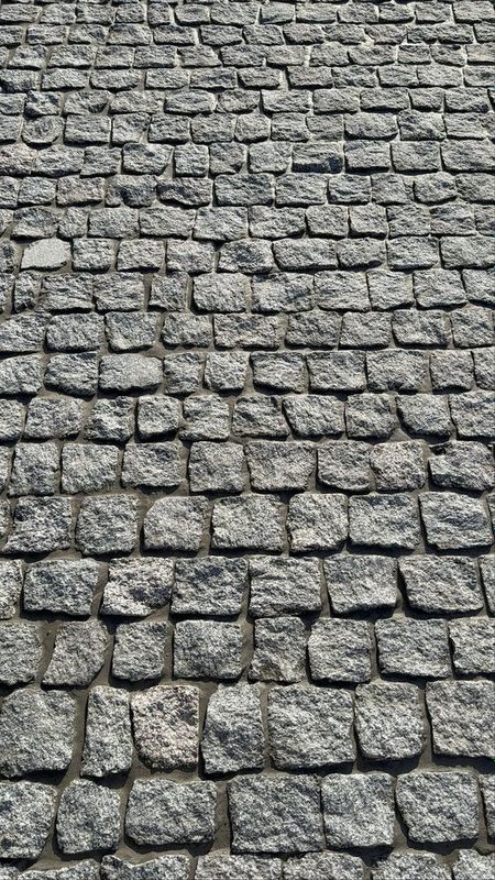 Bruchatka nero bukhara Цена:10 доллар Bruchatka nero bukhara Цена:10 доллар