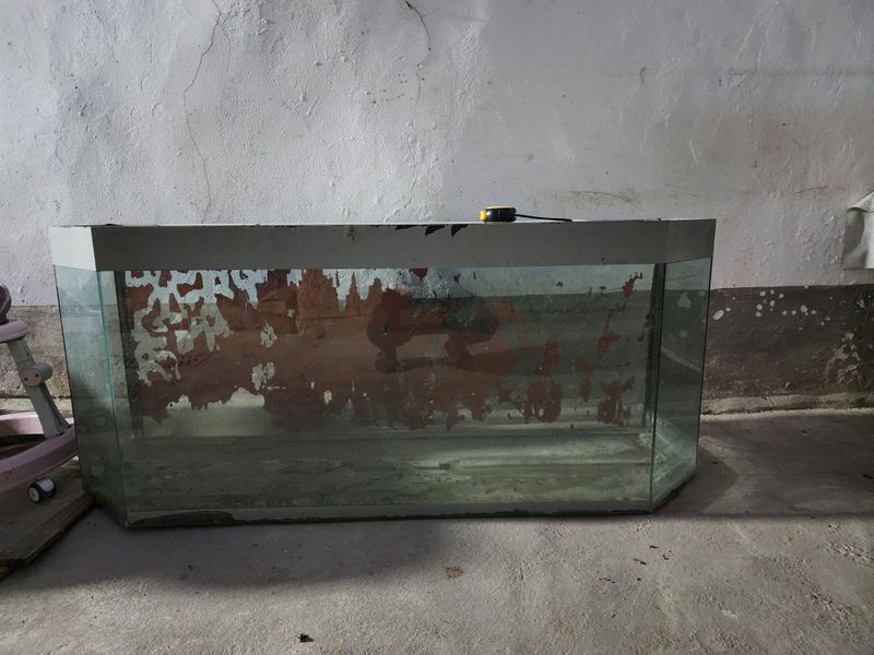 Akvarium sotiladi uzunligi Akvarium sotiladi uzunligi
