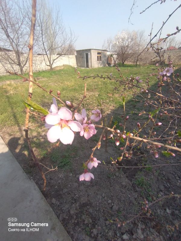Аренда участок тузел хуже мах