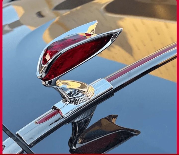 Hongqi H9, h , hs, e-qm 5 gayam tushadi, yengi.