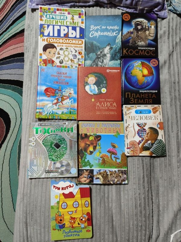 Детские книги и энциклопедии.