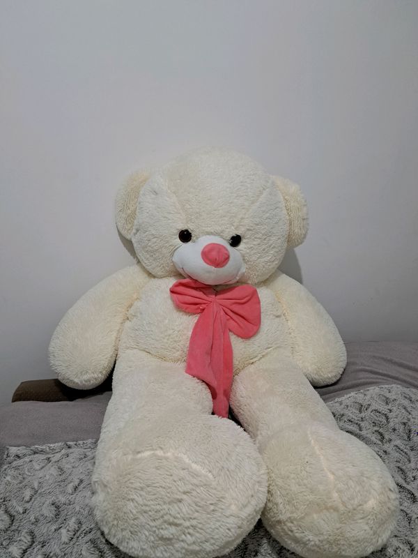 Yumshoq oq teddy Yumshoq oq teddy