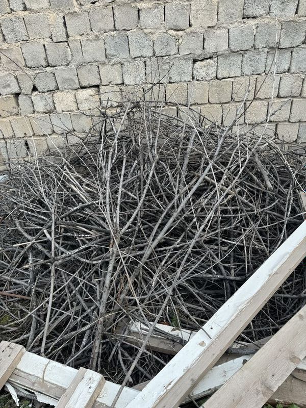 Utin shohlar sotiladi Utin shohlar sotiladi