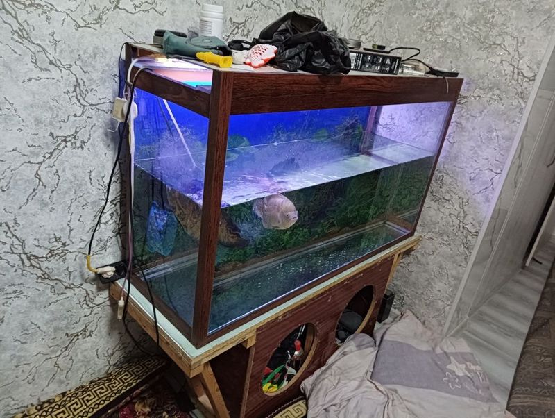 Аквариум sotiladi xama narsasi bilan