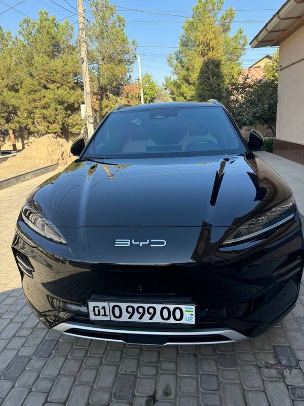 BYD Chempion full BYD Chempion full