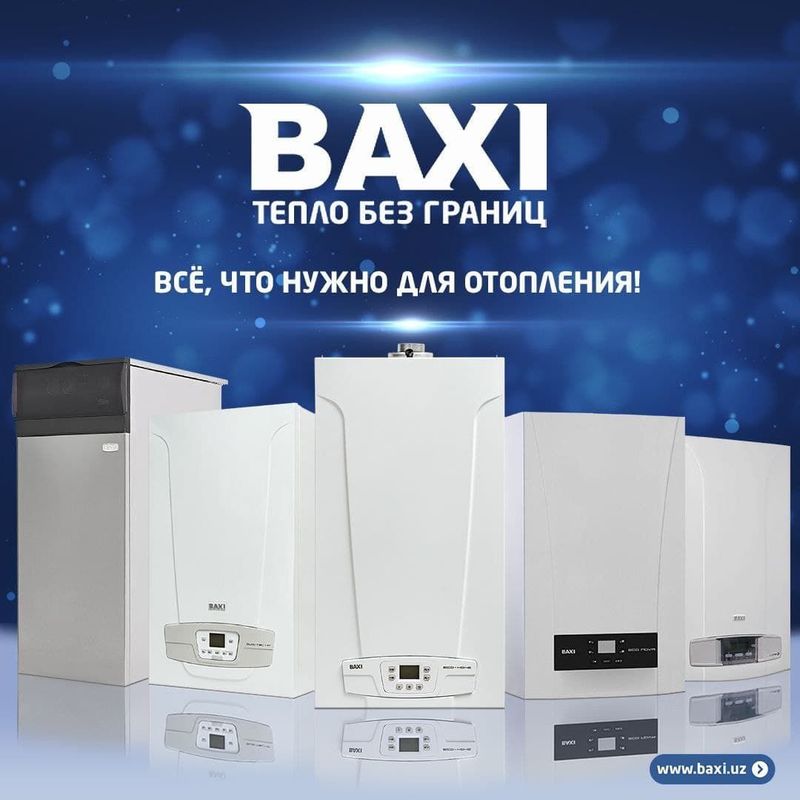 Газовый котел с дымоходом BAXI