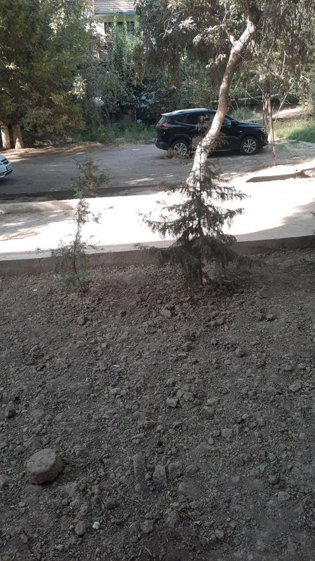 Трекер срочно сотилади
