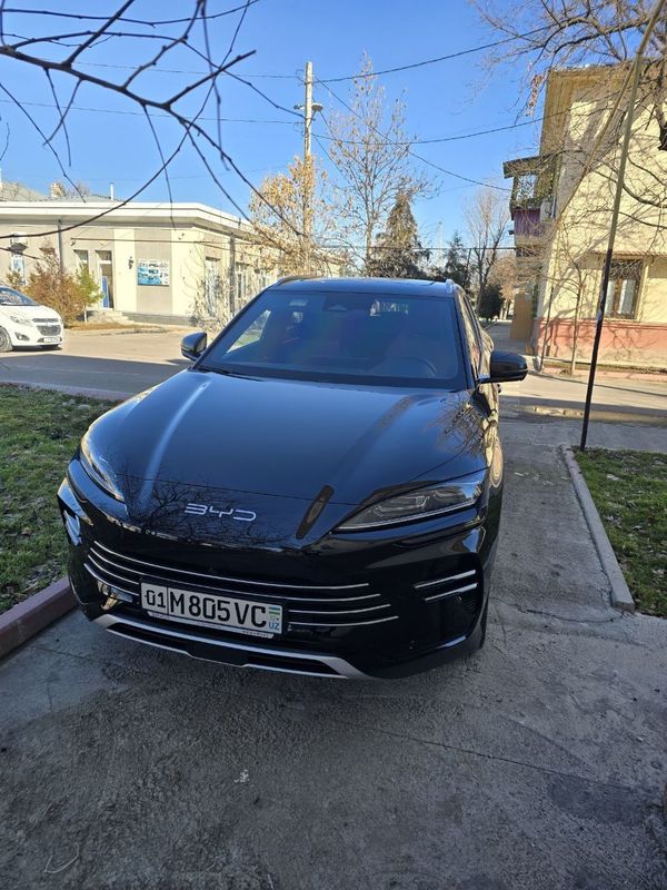 BYD чемпион 2024