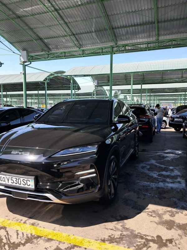 BYD chempion ful BYD chempion ful