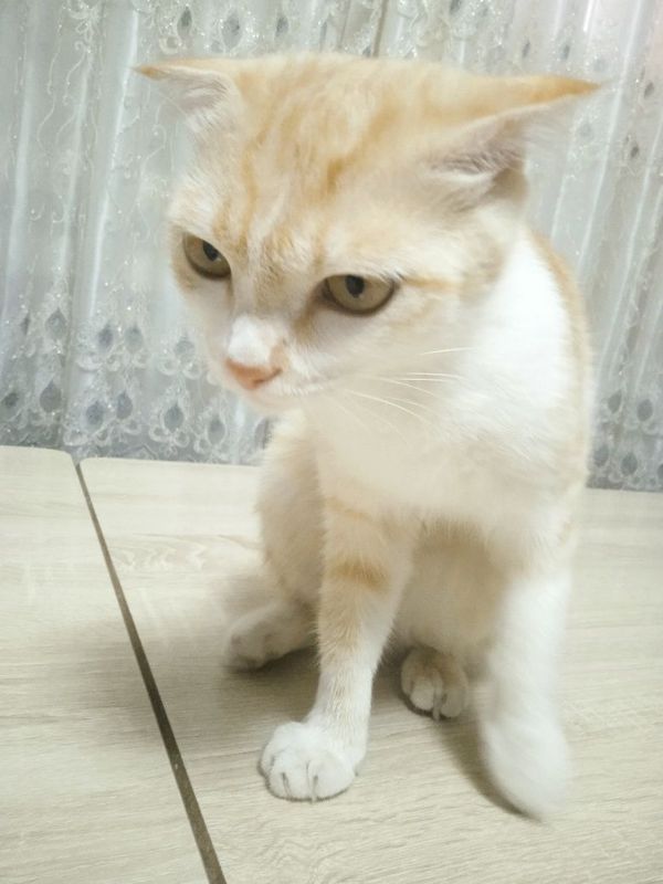 Pul zarur shunga soyapman Pul zarur shunga soyapman