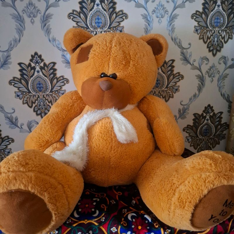 teddi yangi oynalmagan 200000 teddi yangi oynalmagan 200000