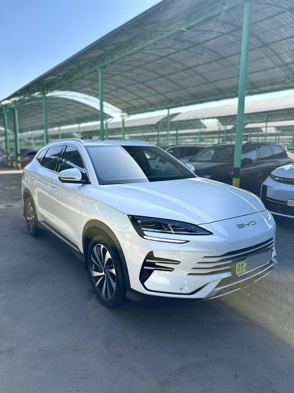 BYD CHempion gibrid 2024