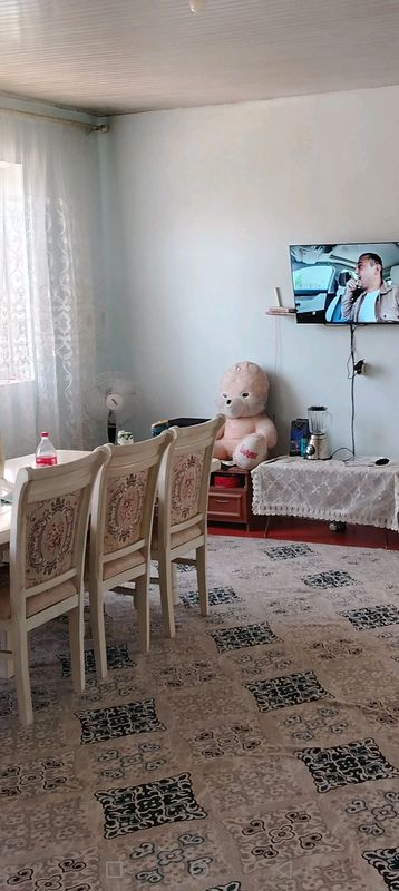 ховли жой ховли жой