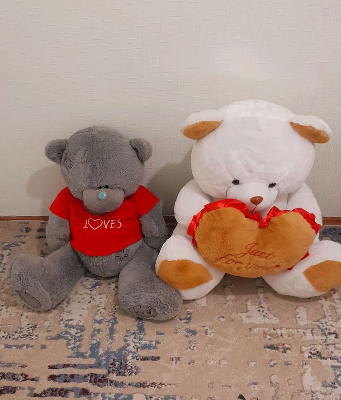 Teddiylar Teddiylar