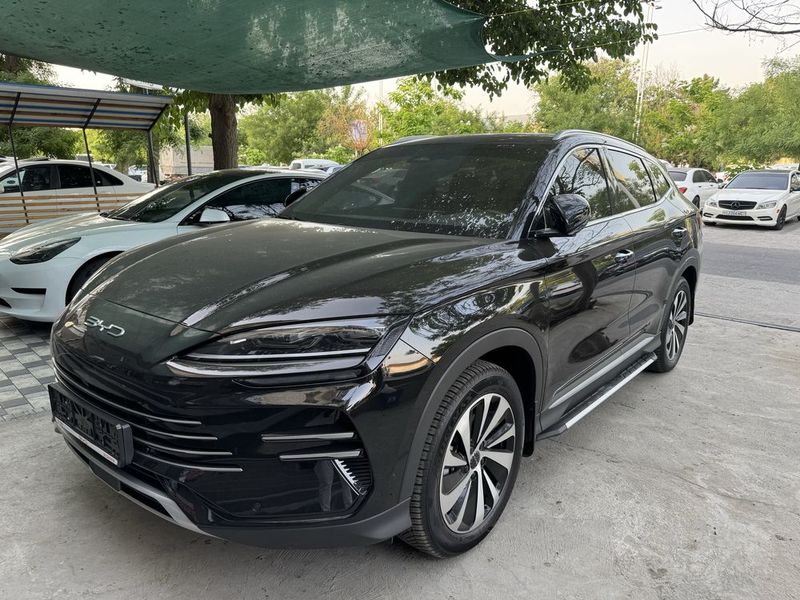 BYD chipiyon 2024 BYD chipiyon 2024