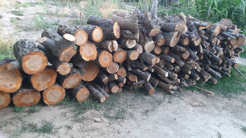 O'tin mevali daraxtlarniki. Srochni sotiladi. Dastafka bor O'tin mevali daraxtlarniki. Srochni sotiladi. Dastafka bor