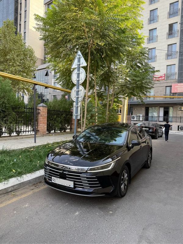 Byd chazor Fulli