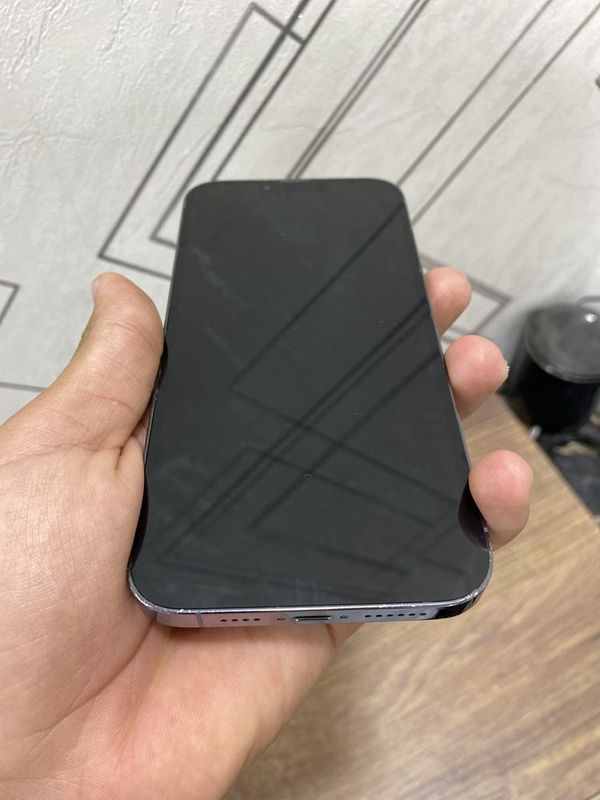 Iphone 13 pro max Iphone 13 pro max