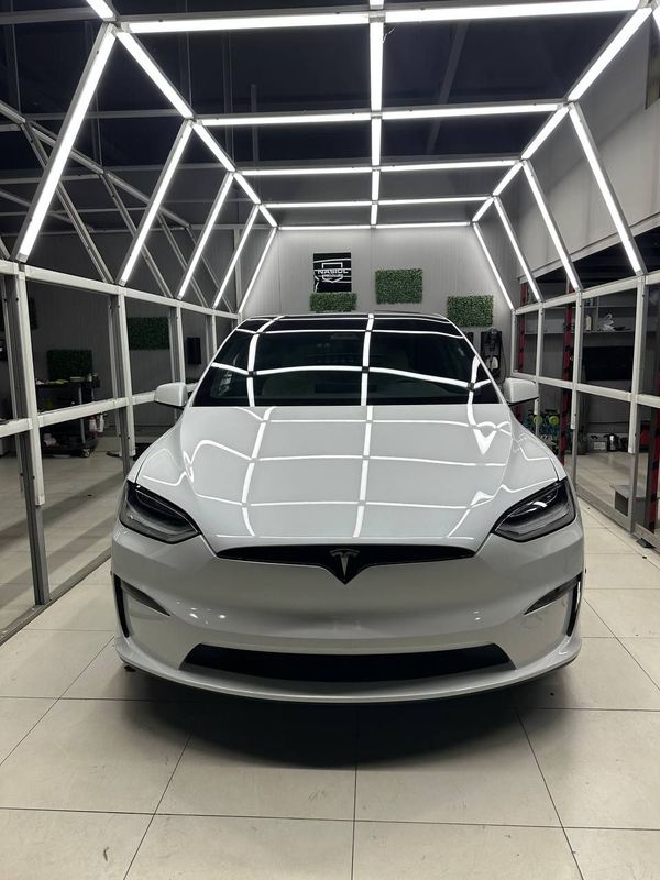 Tesla model X 100D