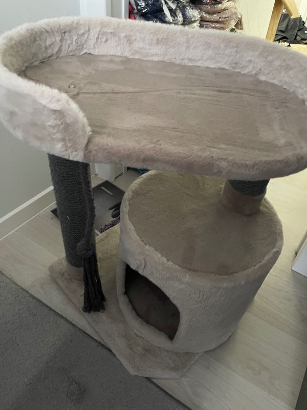 Когтеточка для кота