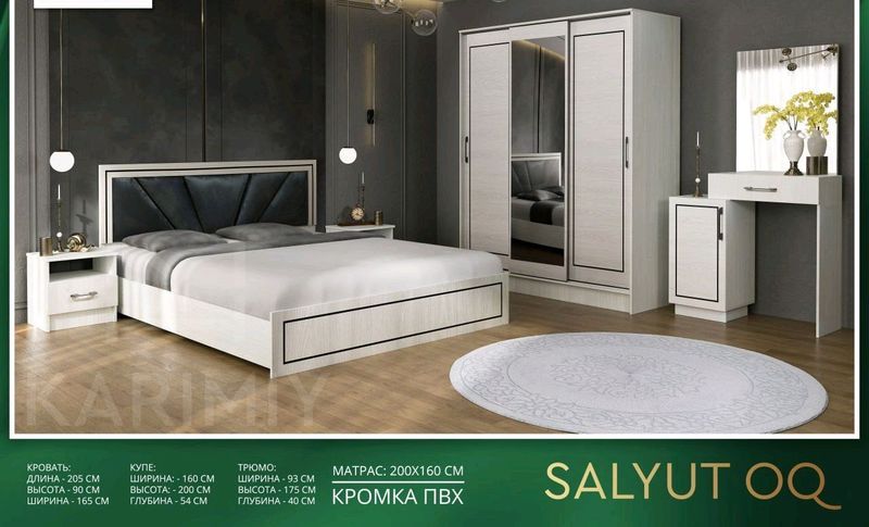 Salyut Hitech Salyut Hitech