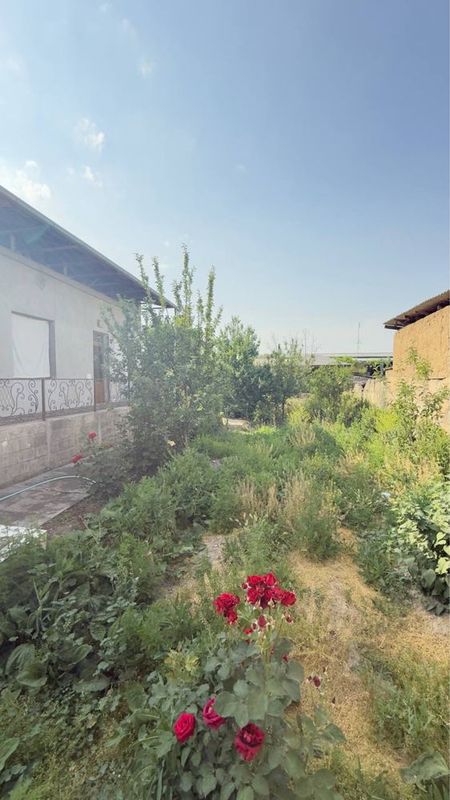 Uchaska serglida sotiladi