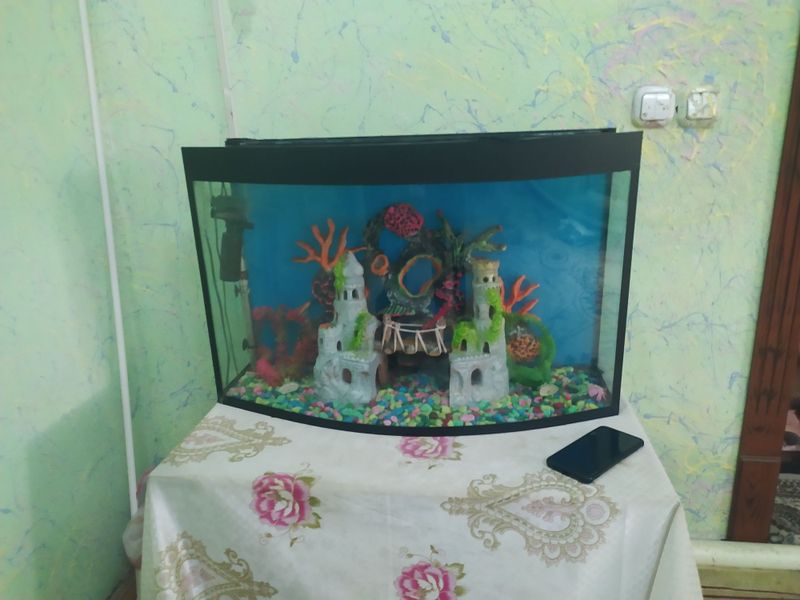 Akvaruyum sotiladi