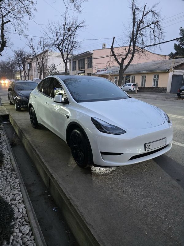 Tesla Y 2024 yil 14000 km yurgan