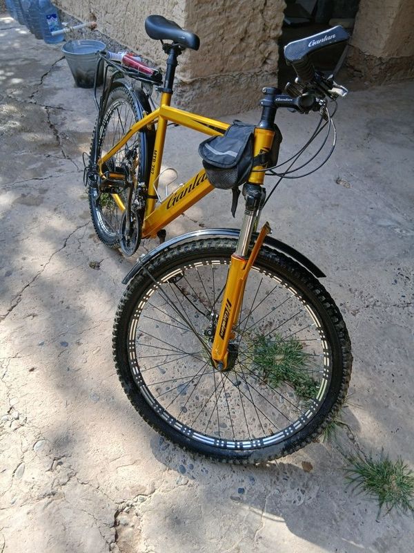 Xolati alo darajada
