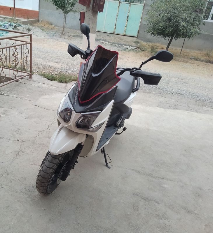 BWS Samuray 2024 BWS Samuray 2024