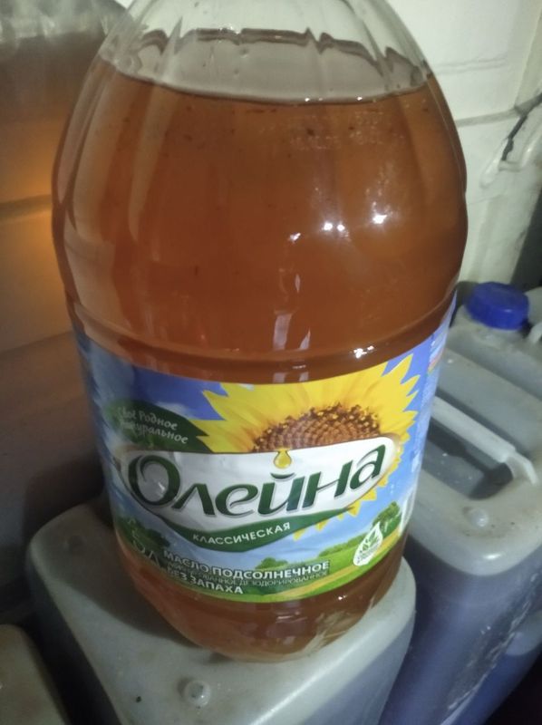 Semichka va paxta yogʻlari