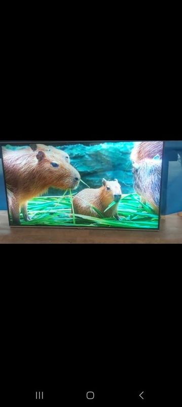 TCL 50 talik Televizor sotiladi