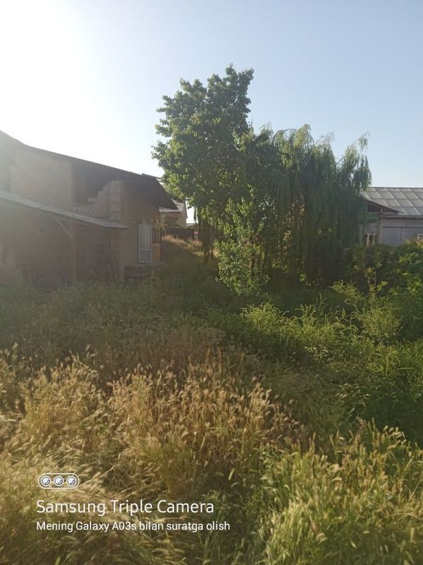 Jizzax Sh.Rashidov tuman. Uch tepa daxasi Yangi hayot maxallasi Jizzax Sh.Rashidov tuman. Uch tepa daxasi Yangi hayot maxallasi