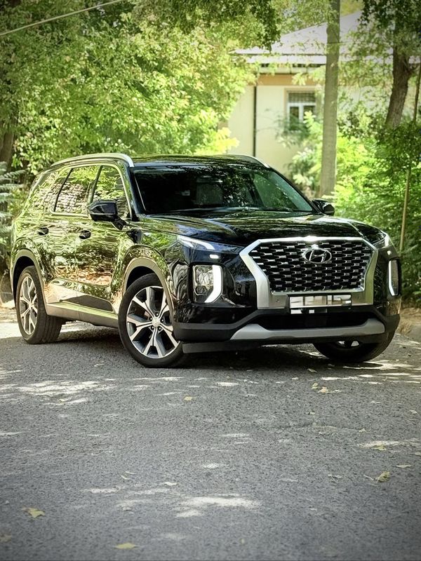 Hyundai Palisade Qora va Oq rangi bor