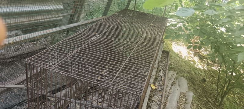 Tovuq qafas balandligi 80sm eniga 80 uzunligi 180 sm Tovuq qafas balandligi 80sm eniga 80 uzunligi 180 sm