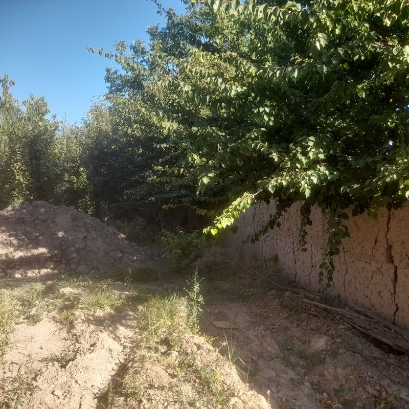 Toshkent Yangihayot Minerva city torsdagi mahala 4 sotih yer sotiladi