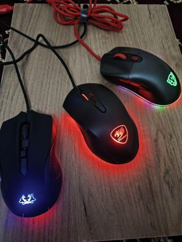 Игравой мышкалар 100 mingdan donasi